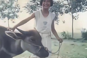 贾玲减肥反弹真相：从喜剧演员到《热辣滚烫》的蜕变